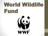 World Wildlife Fund