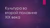 Культура во второй половине XIX века. Просвещение