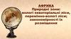 Африка. Природні зони: вологі екваторіальні ліси, перемінно-вологі ліси; закономірності їх розміщення