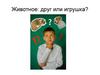 Животное: друг или игрушка?