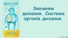 Значення дихання. Система органів дихання