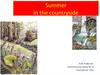 Summer in the countryside