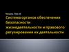 Лекция 9. Тема 18: Система органов обеспечения безопасности жизнедеятельности и правового регулирования их деятельности