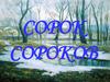 Сорок сороков