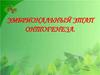 Эмбриональный этап онтогенеза