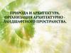 Природа и архитектура. Организация архитектурно - ландшафтного пространства