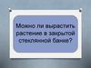 Проект "Можно ли вырастить растение в закрытой стеклянной банке?"
