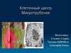 Клеточный центр. Микротрубочки