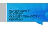 Координация и регуляция жизнедеятельности у животных