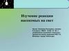 Изучение реакции насекомых на свет