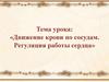 Движение крови по сосудам. Регуляция работы сердца