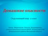 Домашние опасности. Окружающий мир. 2 класс