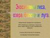 Животные и растения экосистем леса, озера, болота и луга Челябинской области