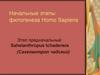 Начальные этапы филогенеза Homo Sapiens