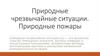 Природные чрезвычайные ситуации. Природные пожары