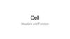 Cell structure and function