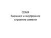 Семя. Внешнее и внутреннее строение семени