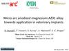 Micro-arc anodized magnesium AZ31 alloy: towards application in veterinary implants