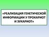 Реализация генетической информации у прокариот и эукариот