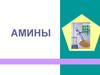 Амины. Общие формулы аминов