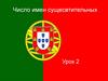Число имен существительных. Урок 2