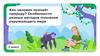 Как человек познаёт природу? Особенности разных методов познания окружающего мира. 2 класс