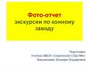 Фото-отчет экскурсии по конному заводу
