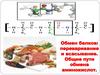 Обмен белков: переваривание и всасывание. Общие пути обмена аминокислот