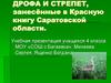 Дрофа и стрепет, занесённые в Красную книгу Саратовской области