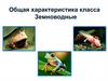 Общая характеристика класса Земноводные