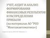 Учет, аудит и анализ формирования финансовых результатов и распределения прибыли (на материалах АО "РОЗ "Монтажавтоматика»)
