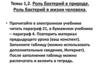 Роль бактерий в природе. Роль бактерий в жизни человека
