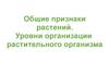 Общие признаки растений. Уровни организации растительного организма