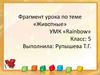 Животные. Фрагмент урока