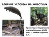 Влияние человека на животных