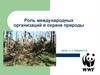 Роль международных организаций в охране природы