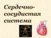 Физиология. Сердечно-сосудистая система. Сердце
