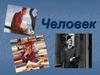 Что такое человек?