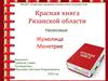 Красная книга Рязанской области. Насекомые