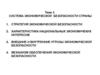 Система экономической безопасности страны. Тема 3