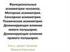 Функциональные асимметрии человека. Моторная асимметрия. Сенсорная асимметрия