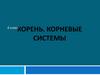 Корень. Корневые системы. 6 класс