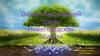 Охрана окружающей среды Нижегородской области