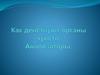 Как действуют органы чувств и анализаторы