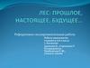Лес: прошлое, настоящее, будущее