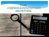 Судебно-бухгалтерская экспертиза