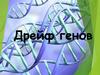 Дрейф генов