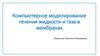 Компьютерное моделирование течения жидкости и газа в мембранах
