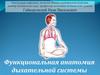 Функциональная анатомия дыхательной системы