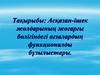 Асқазан - ішек жолдарының жоғарғы бөлігіндегі ағзалардың функционалды бұзылыстары